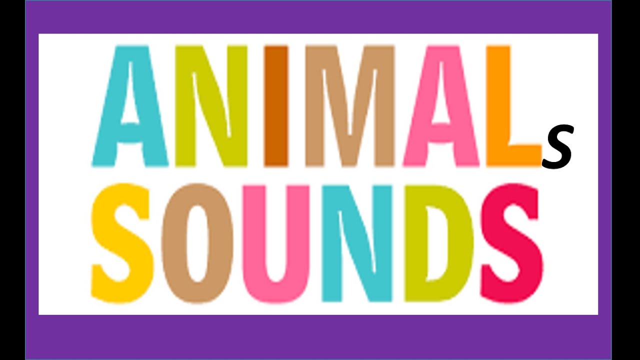 Animals Sounds